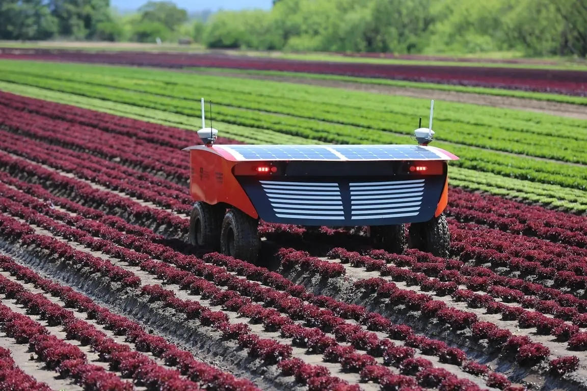 robots en el campo - Cómo ayudan los robots en la agricultura
