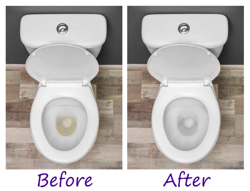 toilet cleaning robot - Do toilet flush cleaners work