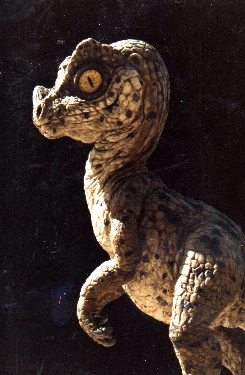 <b>Dino Robot Ceratosaurus</b>: Explorando la Estructura Interna de un Predador Jurásico - How did Ceratosaurus go extinct dino robot ceratosaurus - How did Ceratosaurus go extinct