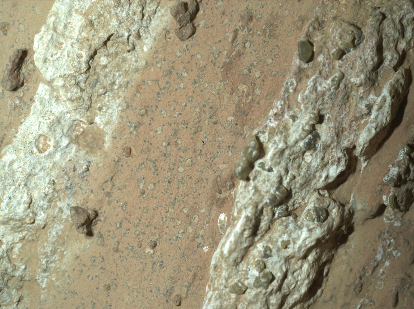 Explorando Marte: Los Rovers y sus Descubrimientos - Qué encontraron en Marte en 2024 robot en marte - Qué encontraron en Marte en 2024