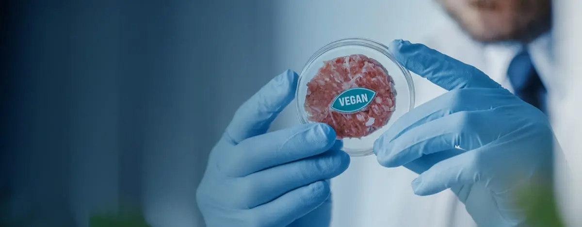 Fermentación Robótica: Un Futuro en la Biotecnología - Qué es la fermentación anaeróbica fermentacion robotica - Qué es la fermentación anaeróbica