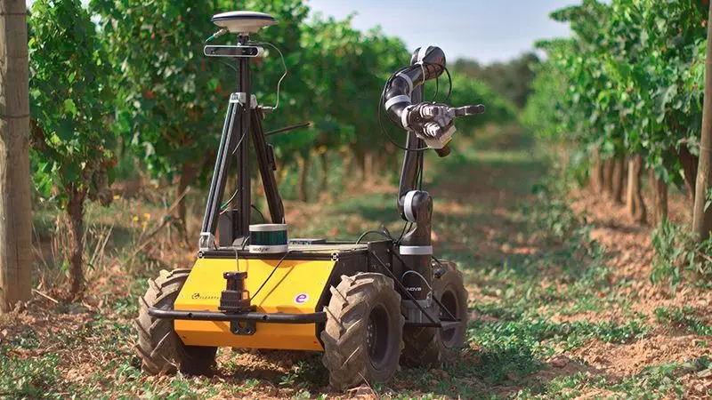 Fermentación Robótica: Un Futuro en la Biotecnología - Qué es la técnica de fermentación fermentacion robotica - Qué es la técnica de fermentación