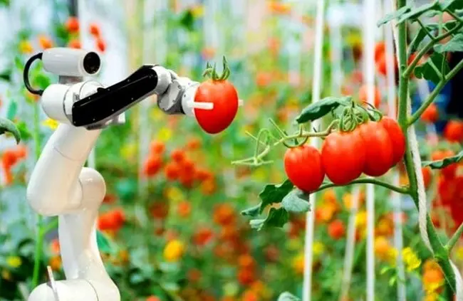 robots en el campo - Qué son los robots de campo