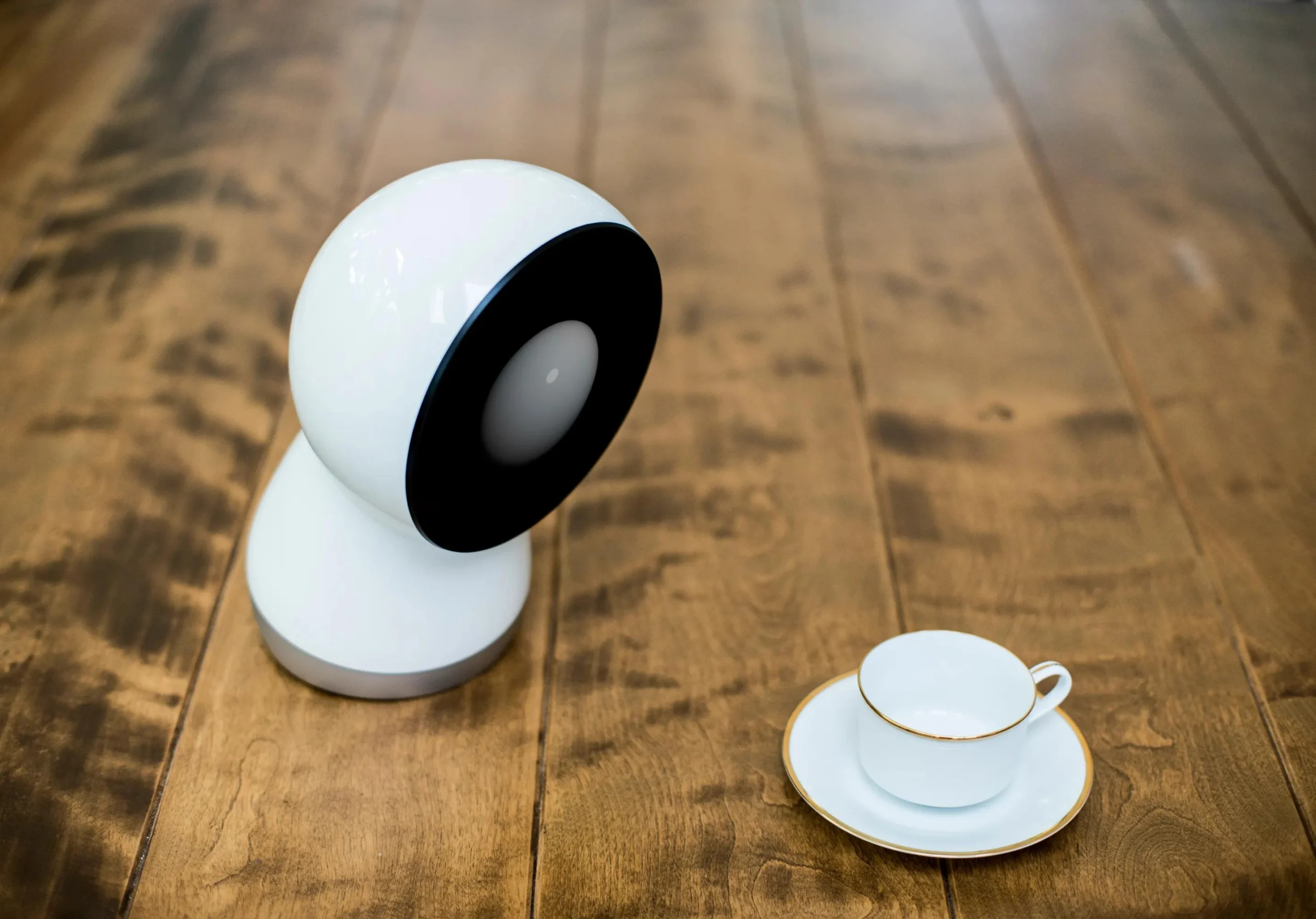JIBO Robot en Argentina: Un análisis completo - Quién inventó el jibo jibo robot argentina - Quién inventó el jibo