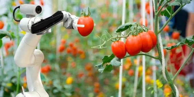 Robots de Recolección: Desventajas y Consideraciones - What are the disadvantages of harvesting robots harvesting robots - What are the disadvantages of harvesting robots
