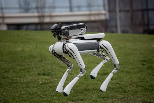 bio inspired robotics - What is an example of Biorobotics
