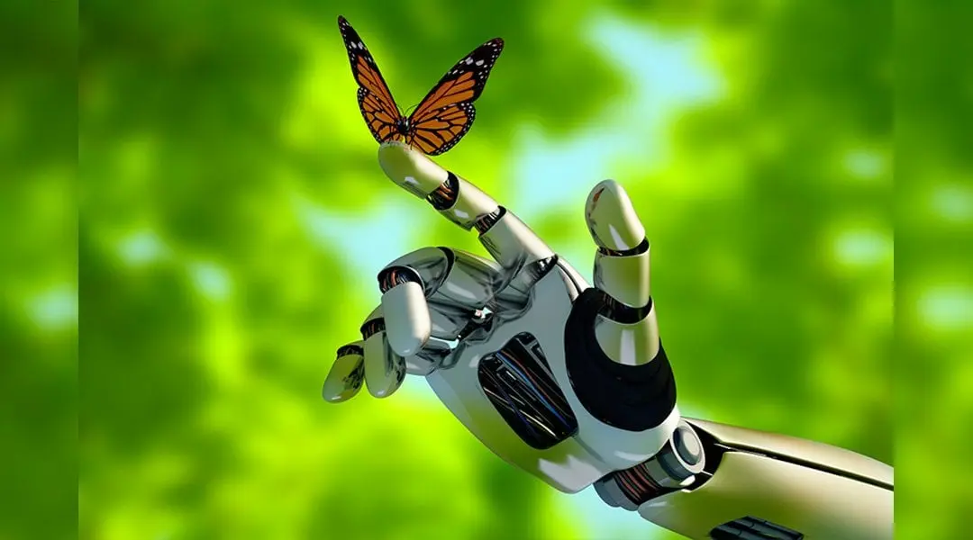 bio inspired robotics - What robots are inspired by biology