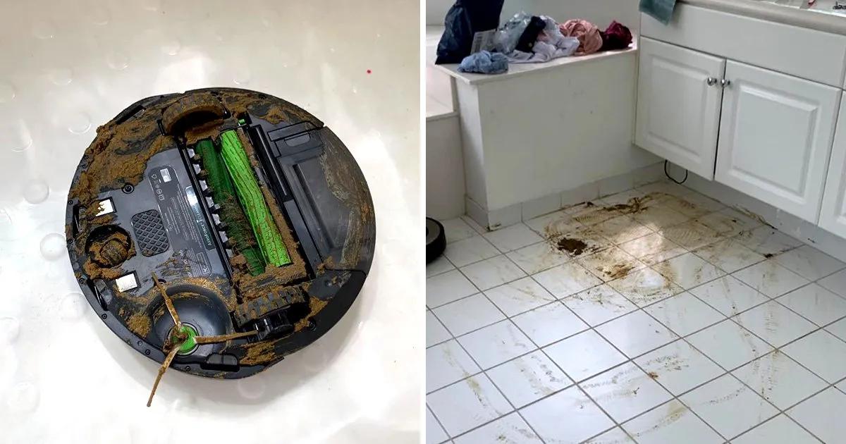 Robot aspirador y excrementos: Guía completa para evitar y solucionar problemas - What to do if a robot vacuum runs over poop robot vacuum poop - What to do if a robot vacuum runs over poop